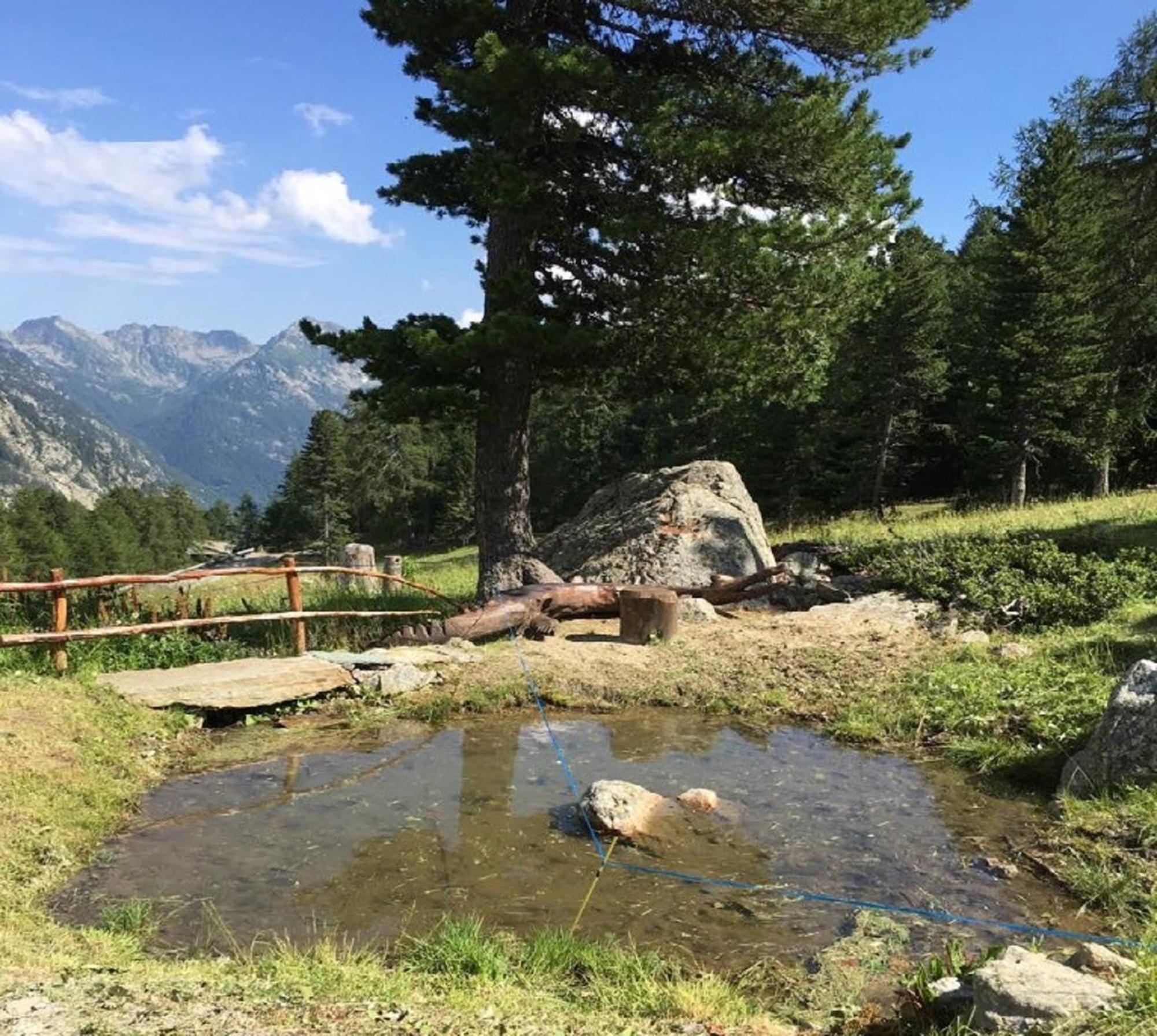 Baite Cialvrina Villa Gressoney-Saint-Jean Kültér fotó