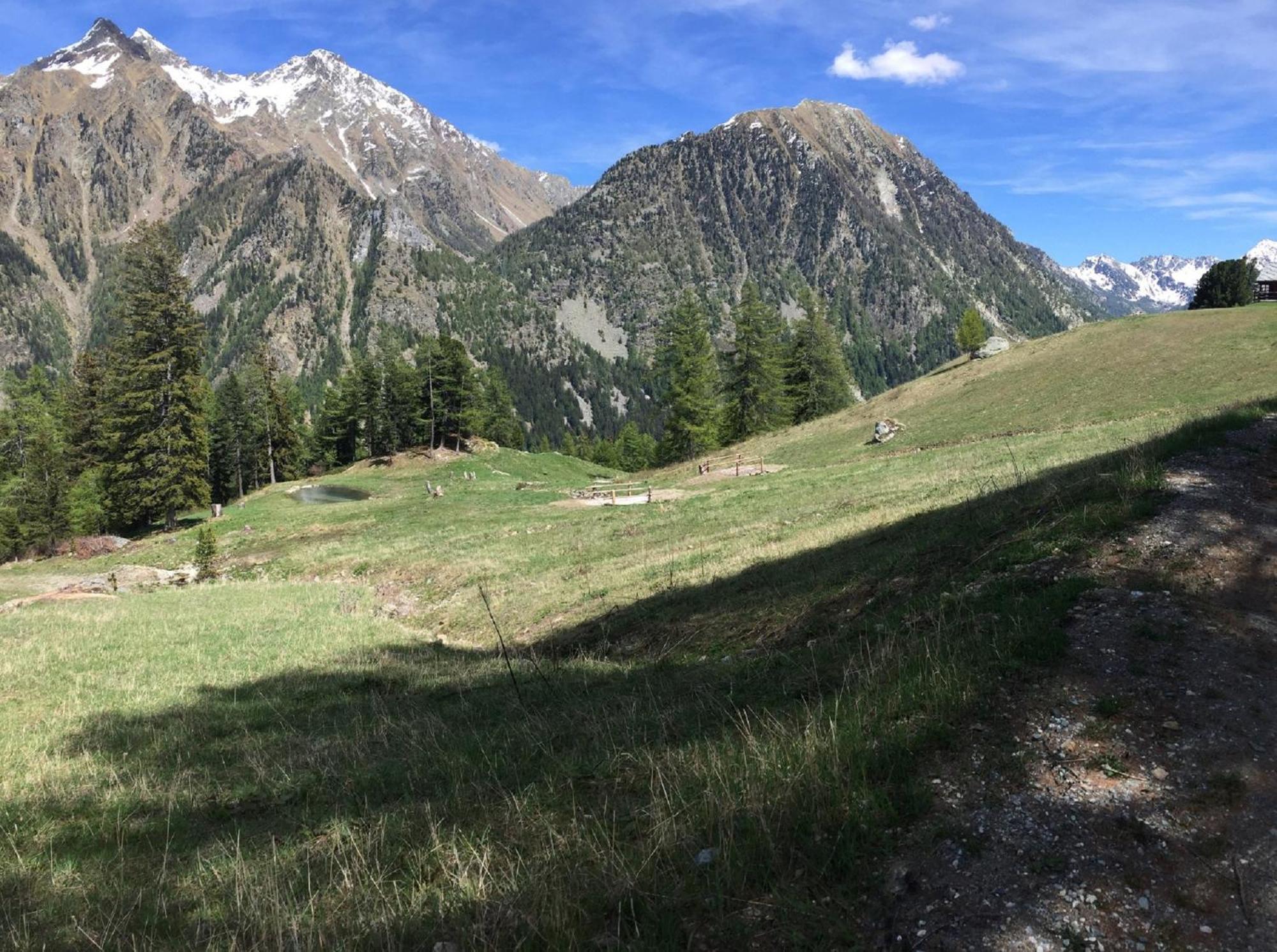 Baite Cialvrina Villa Gressoney-Saint-Jean Kültér fotó