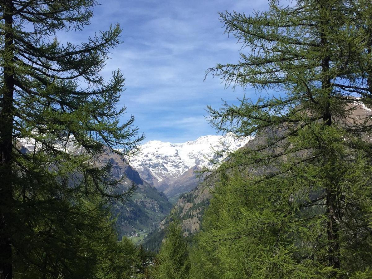 Baite Cialvrina Villa Gressoney-Saint-Jean Kültér fotó