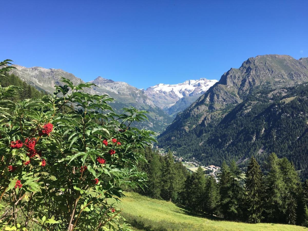 Baite Cialvrina Villa Gressoney-Saint-Jean Kültér fotó